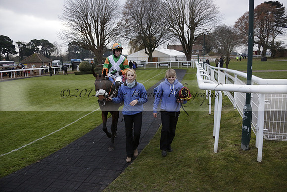 Race 7 The R.D.Decs Tosh And Go Handicap Hurdle Race at Fontwell Park on Tuesday 10 December 2013 www.polopictures.co.uk