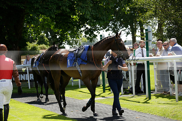 _CB_0561