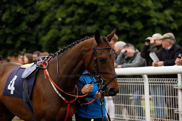 _CB_6776