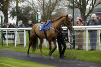 Race 1 The Quicksilverslots Get Up To £200 Freeplays Conditional Jockeys Training Series Handicap Steeple Chase, on Wednesday 27 November 2013 www.polopictures.co.uk