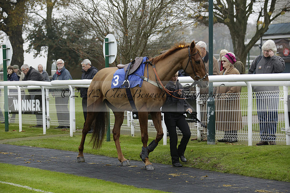 Race 1 The Quicksilverslots Get Up To £200 Freeplays Conditional Jockeys Training Series Handicap Steeple Chase, on Wednesday 27 November 2013 www.polopictures.co.uk