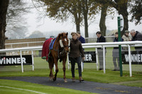 Race 1 The Quicksilverslots Get Up To £200 Freeplays Conditional Jockeys Training Series Handicap Steeple Chase, on Wednesday 27 November 2013 www.polopictures.co.uk
