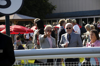 Race 2 The West Sussex Van Centre Supplies Winner Conditional Jockeys Handicap Steeple Chase 2015.10