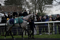 _CAB1724