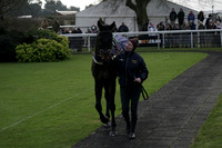 _CAB2351