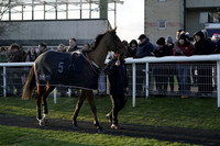 Race 6 The tigerbet.co.uk Daily Price Boosts Handicap Steeple Chase 2025.12.26