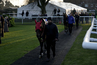 Race 7 The tigerbet.co.uk Happy New Year Open National Hunt Flat Race 2025.12.26