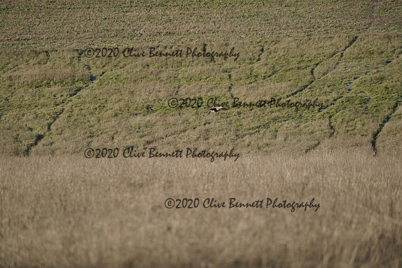 _CAB6440