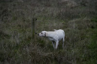 Exmoor 2025.12.30