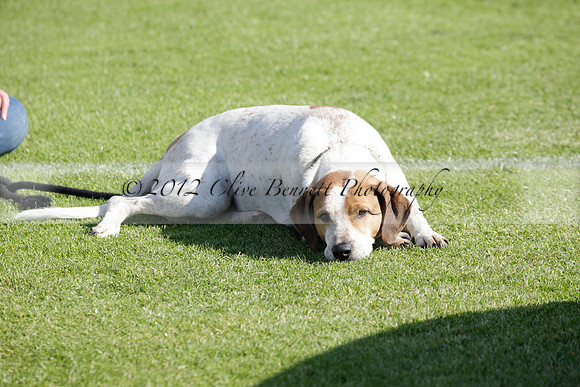 Les Lions v La Bamba de Areco in a Veuve Clicquot Gold Cup polo match played at Cowdray Park Polo Club on Ambersham 1 on 19 June 2012