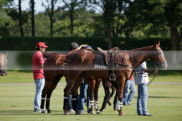 Les Lions v La Bamba de Areco in a Veuve Clicquot Gold Cup polo match played at Cowdray Park Polo Club on Ambersham 1 on 19 June 2012