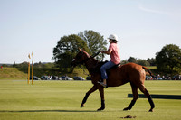 Les Lions v La Bamba de Areco in a Veuve Clicquot Gold Cup polo match played at Cowdray Park Polo Club on Ambersham 1 on 19 June 2012