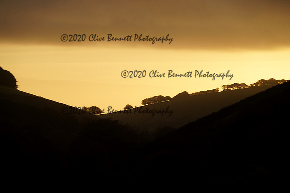 _CAB3018