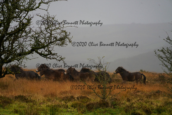 _CAB0576