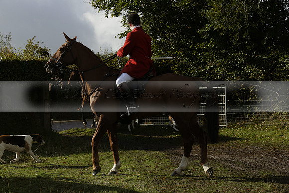 Devon & Somerset StagHounds meet at Five Cross Ways on Thursday 17 October 2013. 2013.10.17 www.polopictures.co.uk