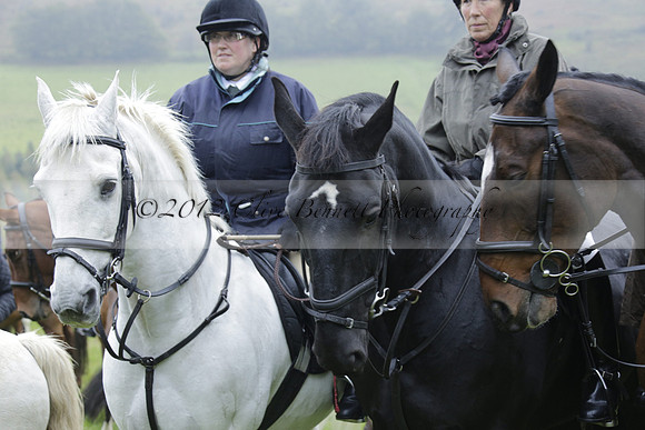 Devon & Somerset Stag Hounds meet at Liscombe on Saturday 12 October 2013 2013.10.12 www.polopictures.co.uk