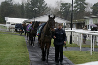 Race 4 The Betting.Bet Best Betting Sites Mares Novices Hurdle Race 2026.01.11