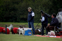 Hollycombe v Emlor Dollar Cup 2012.05.19