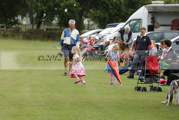 The Blue Jackets Cup polo match played between Maize Dulce (green) vs Home Farm (white) At the New Forest Polo Club on Sunday 18 August 2013