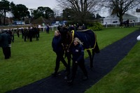 Race 5 The BetGoodwin Best UK Bookie Mares Novices Hurdle Race 2024.12.10