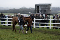 Race 6 The Four and Five Years Old Point-To-Point Flat Race 2026.01.18