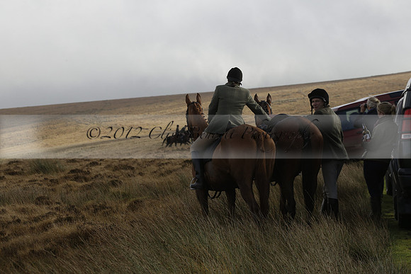 Devon & Somerset Staghounds meet at Larkbarrow Corner. North Devon. 2013.10.18 www.polopictures.co.uk