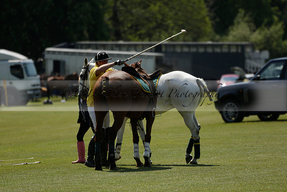 Maiz Dulce v Pluma Negra in a Jubilee 6 Goal Polo match 2013.05.27
