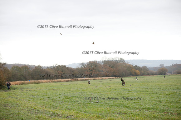 _CB_7814