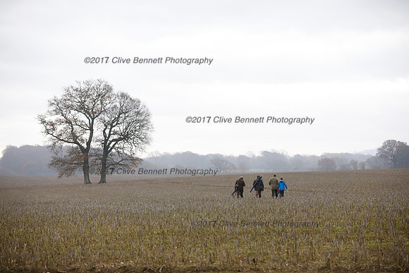 _CB_7798