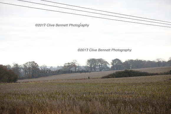 _CB_7710