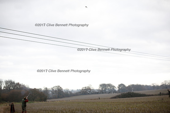 _CB_7737
