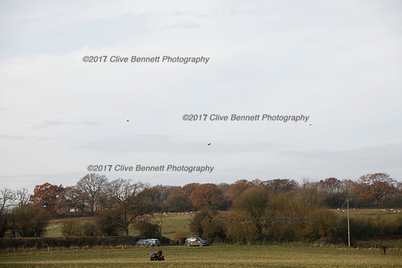 _CB_7915