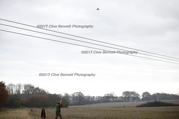 _CB_7744