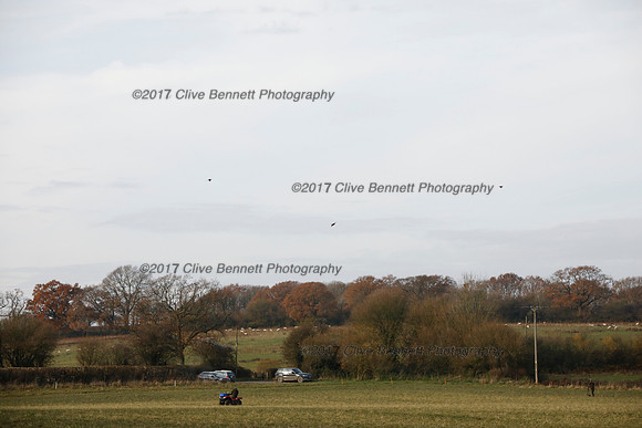 _CB_7916