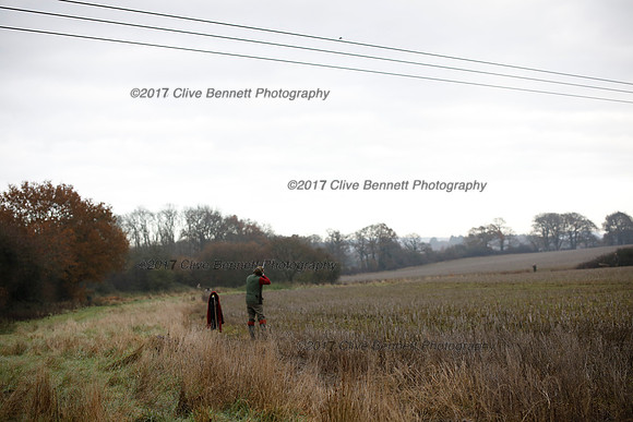 _CB_7734
