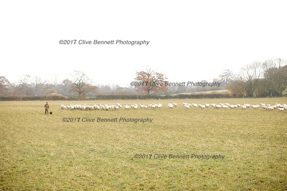 _CB_7848