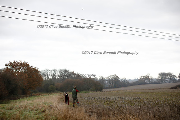 _CB_7706