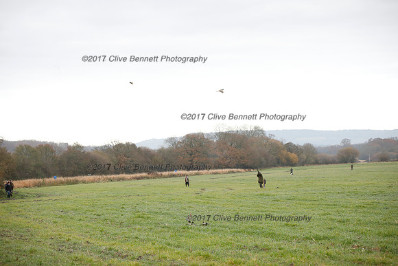 _CB_7815