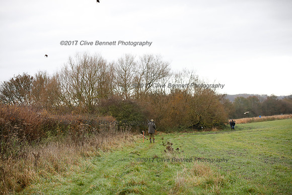 _CB_7818