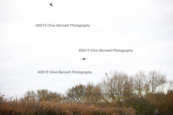 _CB_7820