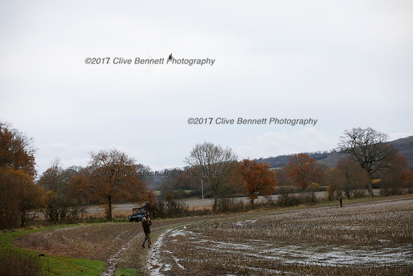 _CB_7993