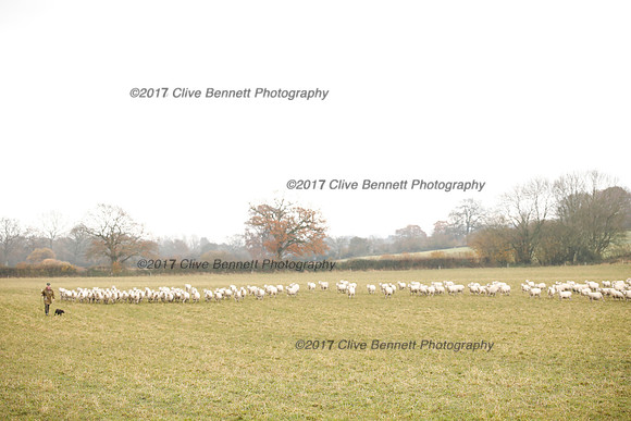_CB_7850