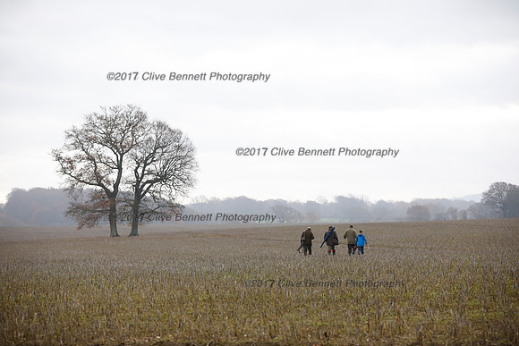 _CB_7797