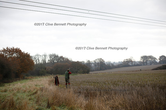 _CB_7733
