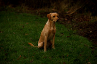 _CB_6658