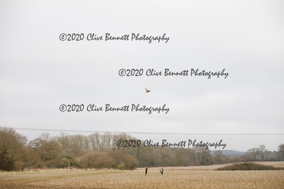 _CB_6934