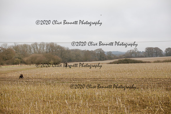 _CB_6945