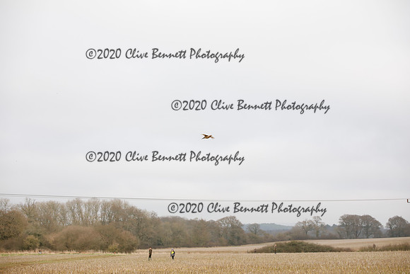 _CB_6936