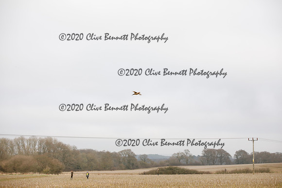 _CB_6937