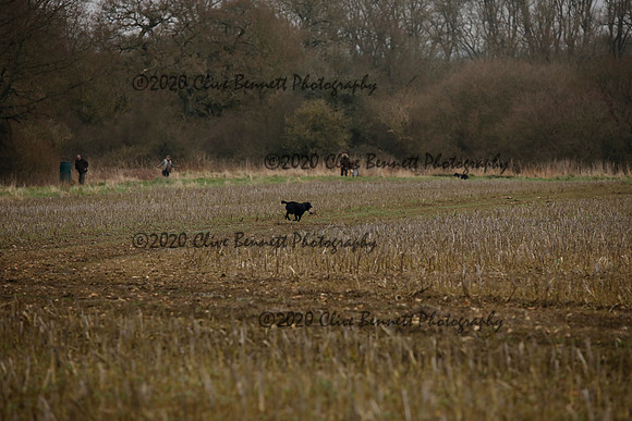 _CB_6966